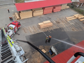 Bild Saegewerkuebung 2