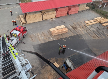 Bild Saegewerkuebung 2