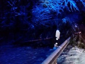 IMAG0439