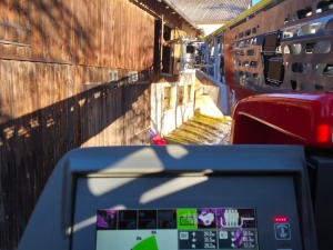 WhatsApp Image 2026 01 08 at 11.01.02