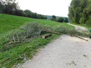 DSCN0265