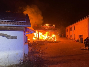 WhatsApp Image 2026 01 23 at 07.57.24