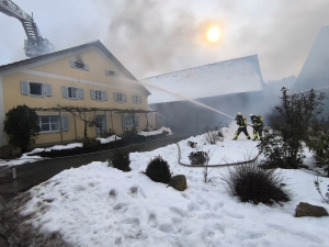 WhatsApp Image 2026 03 07 at 18.12.18 4